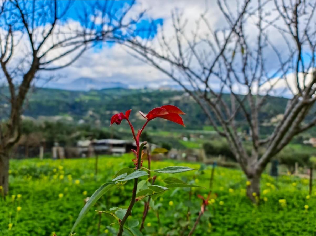 Ornament: Infinite Nature Villa Dhafnes Dış mekan fotoğraf